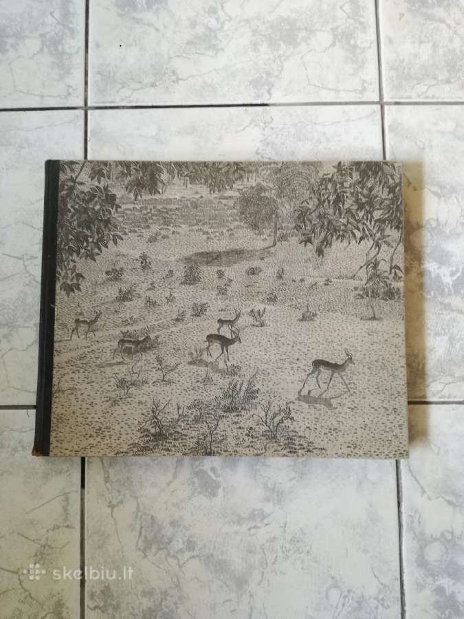 Negirdetas,nuostabus gyvunu pasaulis 1932 m. - nuotraukos Nr. 12