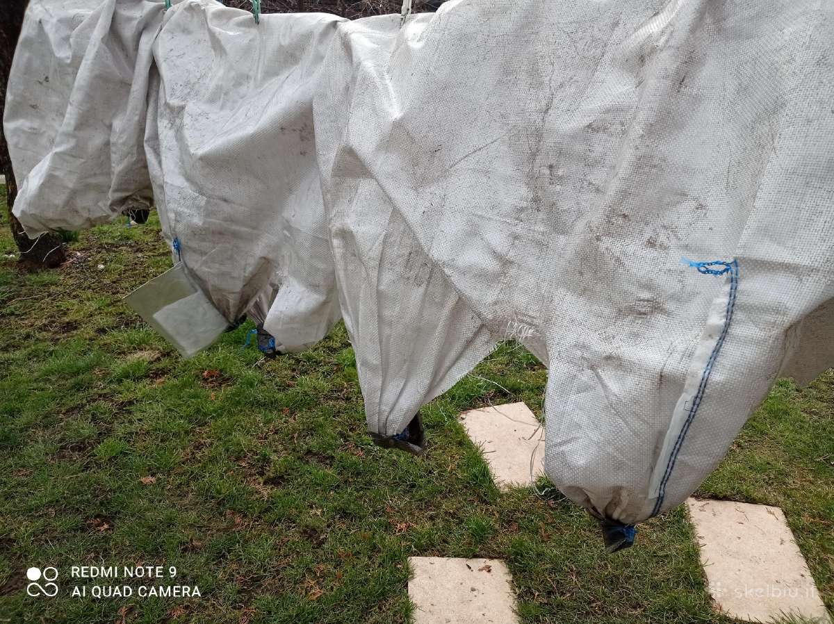 Didmaišis (500 kg talpos) 1vnt. - nuotraukos Nr. 2