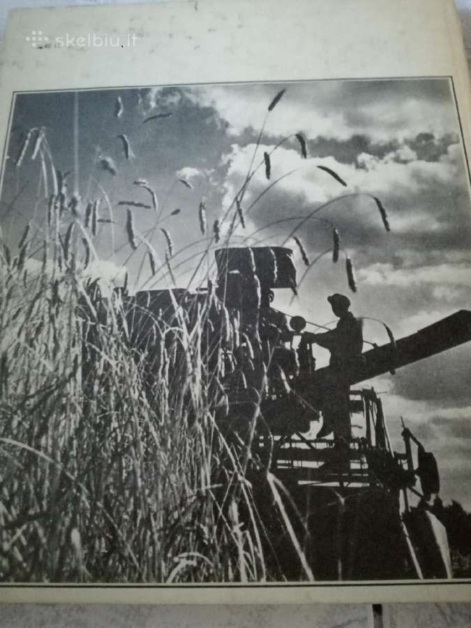 Chanonas Levinas-albumas 1983 m.