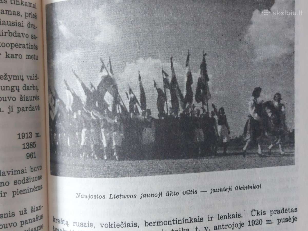 2 knygos - Lietuva 1918-1938 m. - nuotraukos Nr. 23