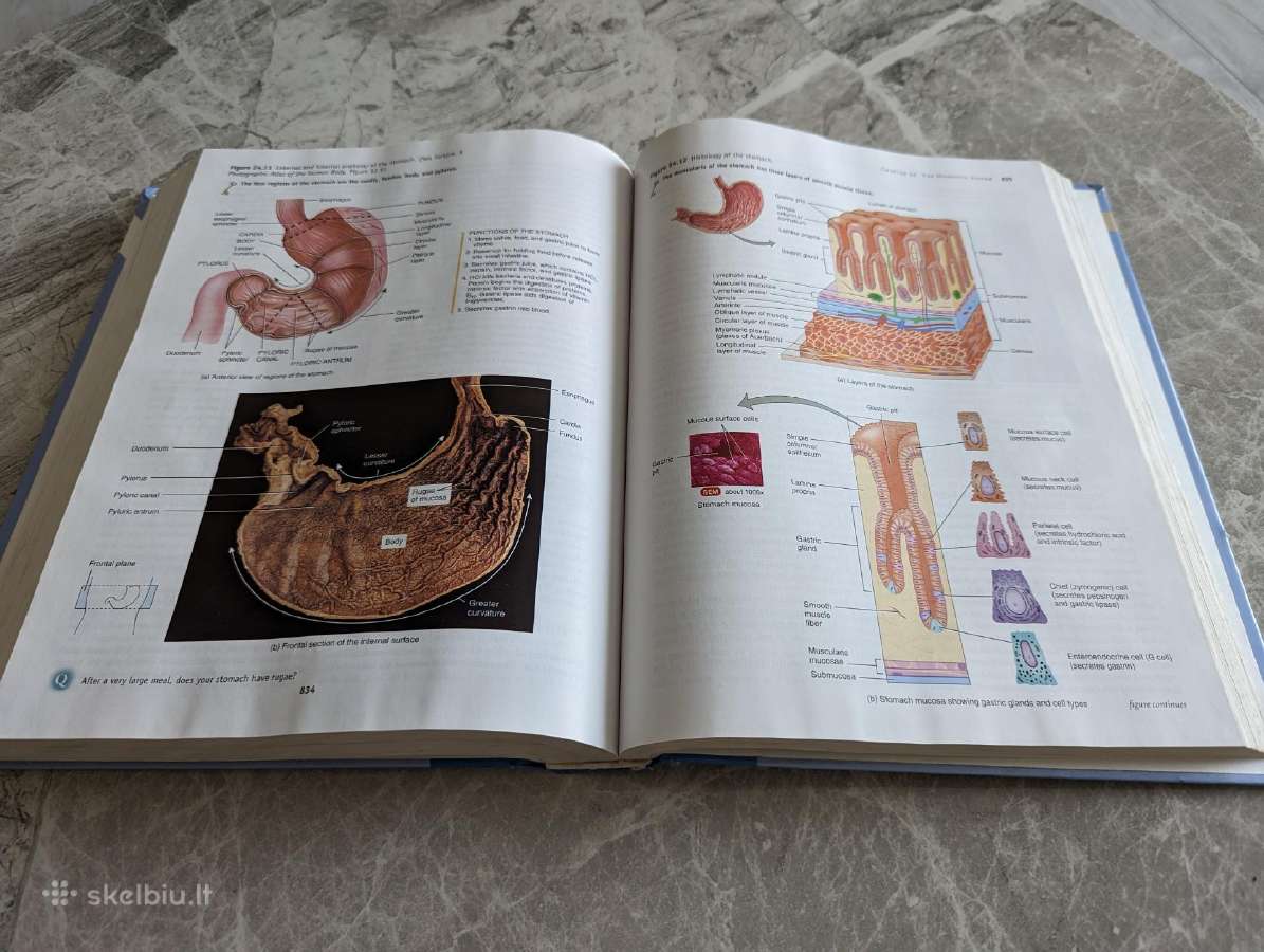 Anatomija (Principles of anatomy and physiology) - nuotraukos Nr. 2