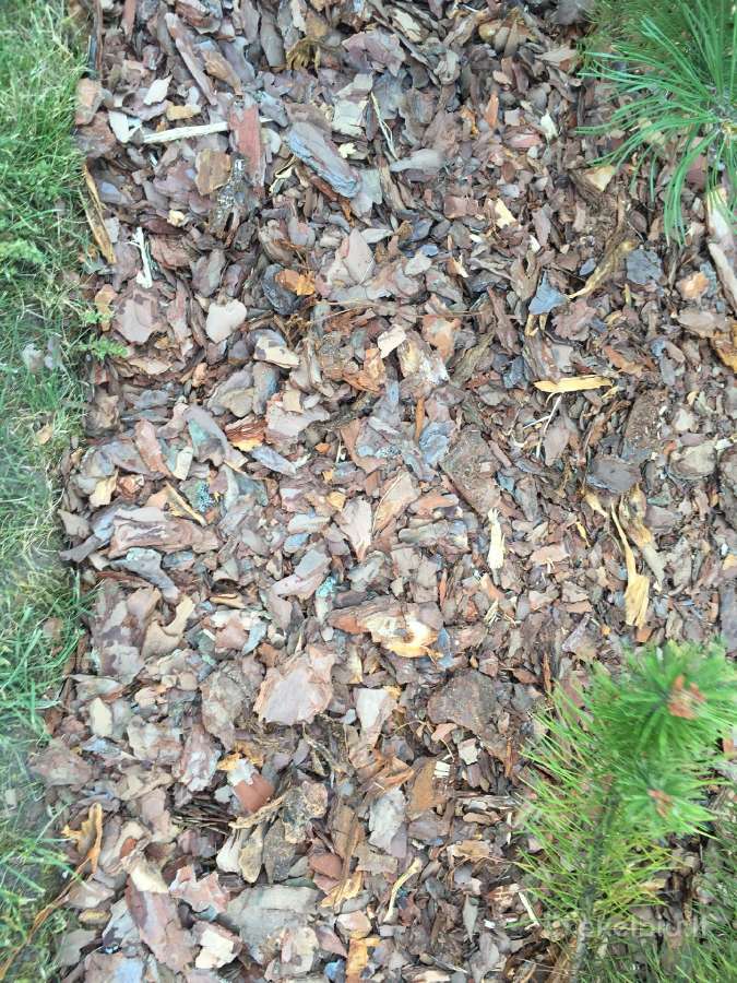 Natūralus nefrakcijuotas pušies mulčas 1000l - nuotraukos Nr. 4