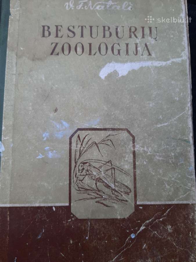 Bestuburių zoologija