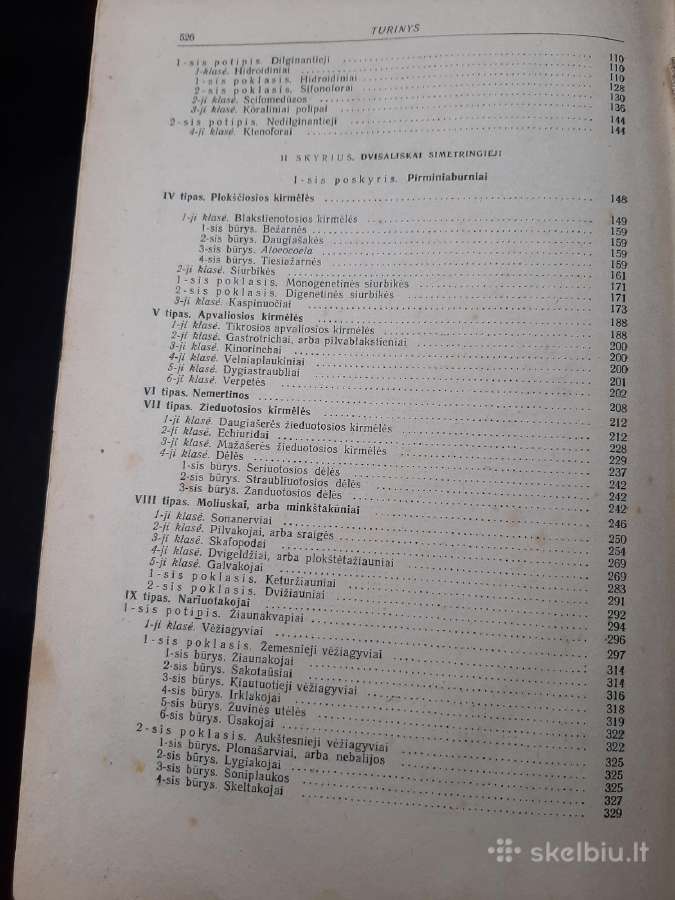 Bestuburių zoologija - nuotraukos Nr. 3