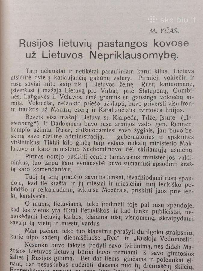 Knyga - Lietuva 1918-1938 m. - nuotraukos Nr. 6