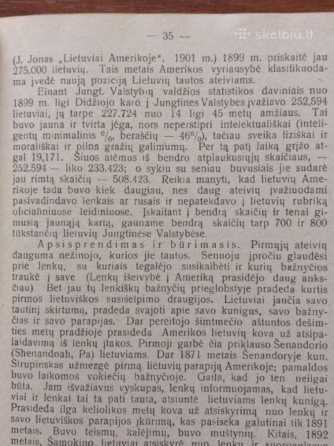Knyga - Lietuva 1918-1938 m. - nuotraukos Nr. 8