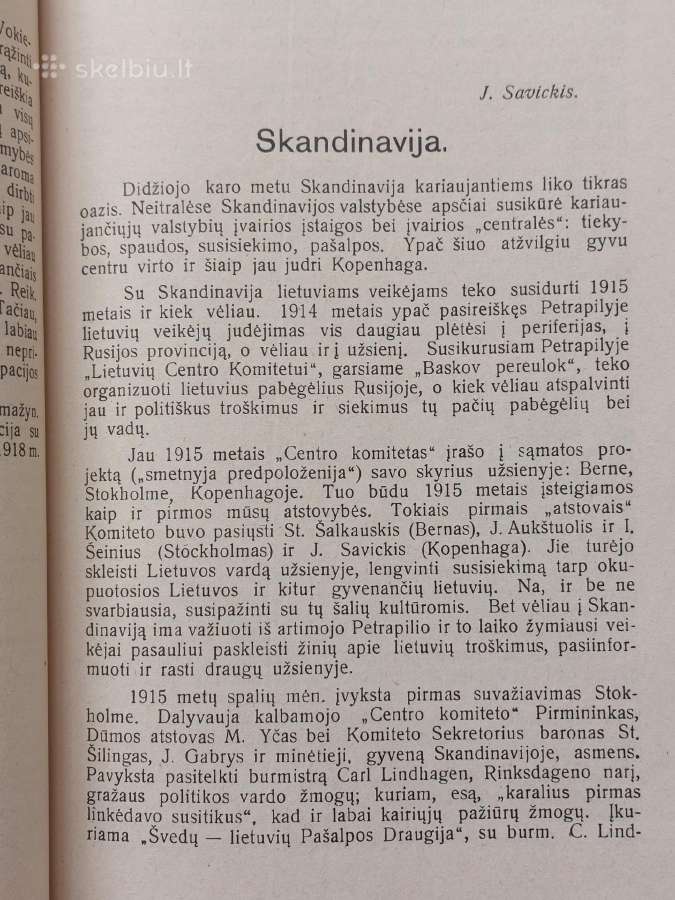 Knyga - Lietuva 1918-1938 m. - nuotraukos Nr. 10
