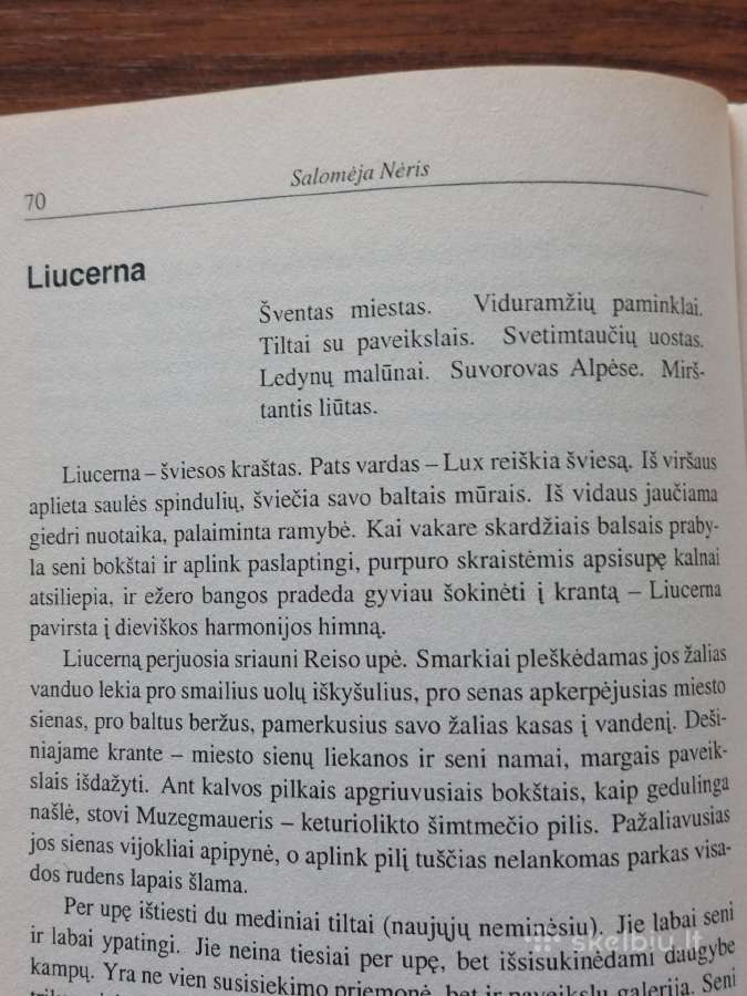 Knyga - Lietuva 1918-1938 m. - nuotraukos Nr. 28