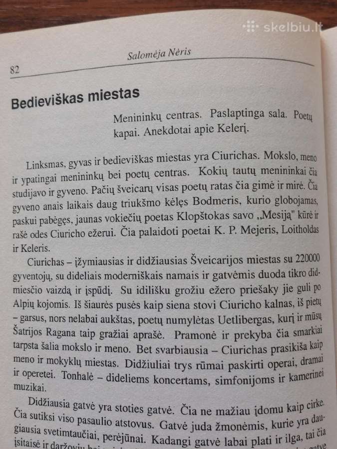 Knyga - Lietuva 1918-1938 m. - nuotraukos Nr. 29