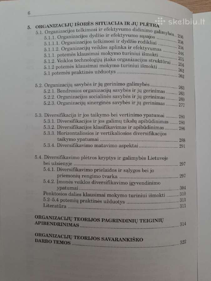 Organizacijų teorija - nuotraukos Nr. 4