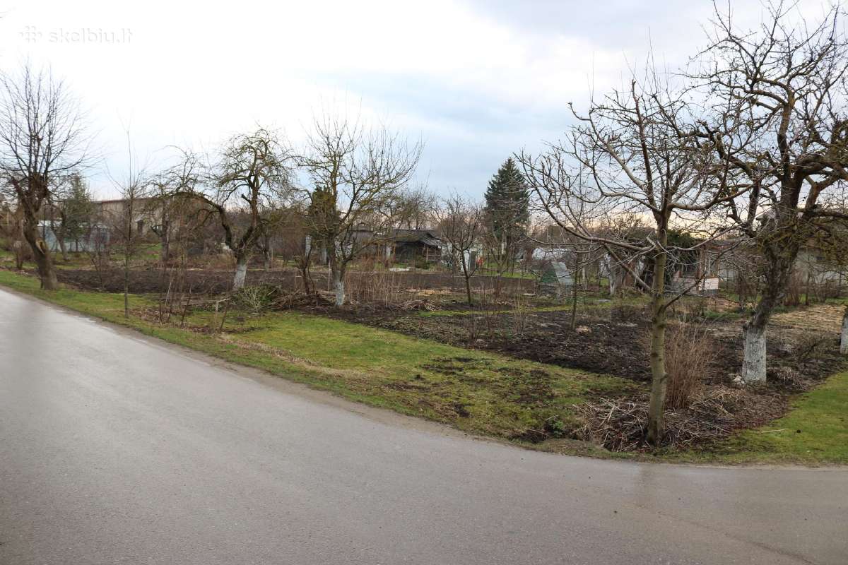 Parduodami 13,6 Arų Du Sodo Sklypai Joniškyje - nuotraukos Nr. 3