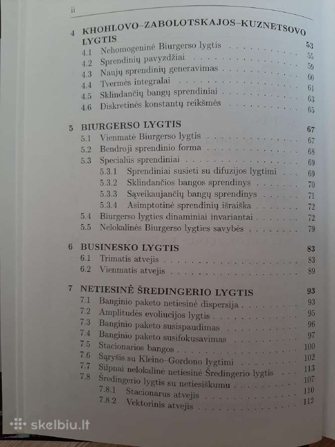 Netiesiniai ir nelokaliniai integruojamieji modeli - nuotraukos Nr. 3