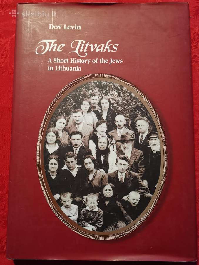 Dov Levin The Litvaks