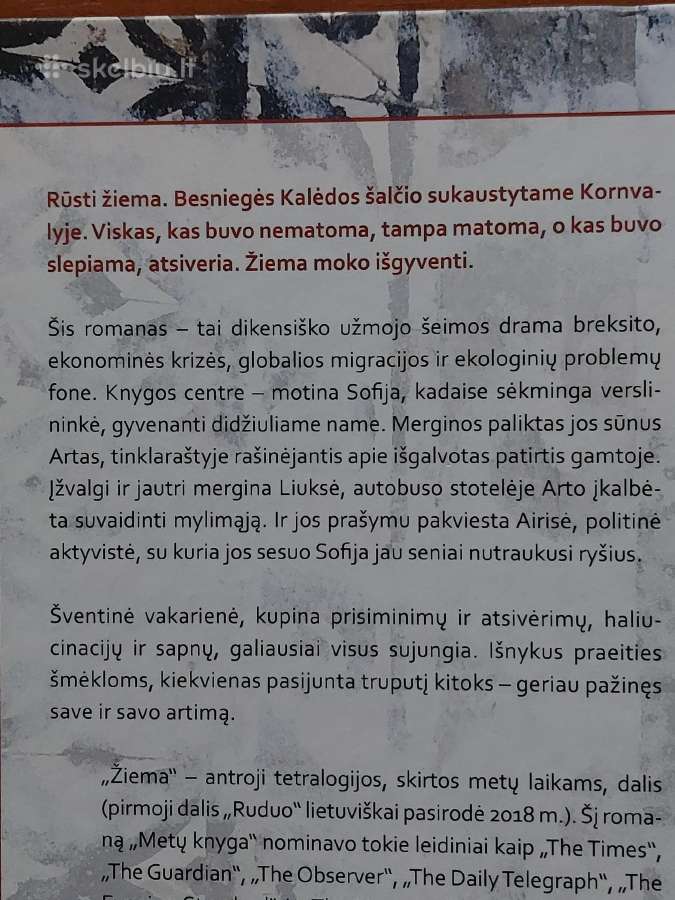 Ali Smith + Ruduo / Ali Smith - Žiema . - nuotraukos Nr. 6