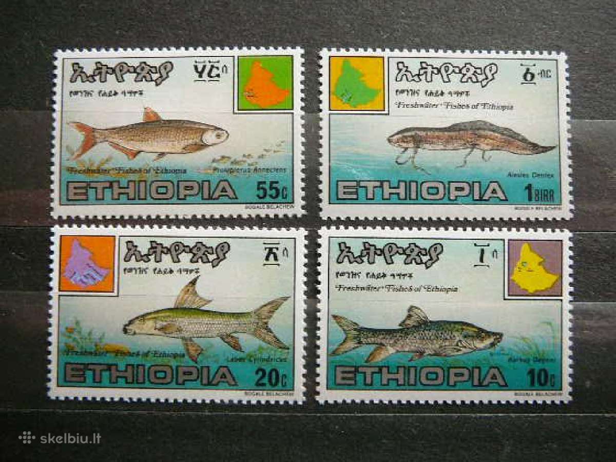 Zuvys Etiopija 1985 svarus etp333