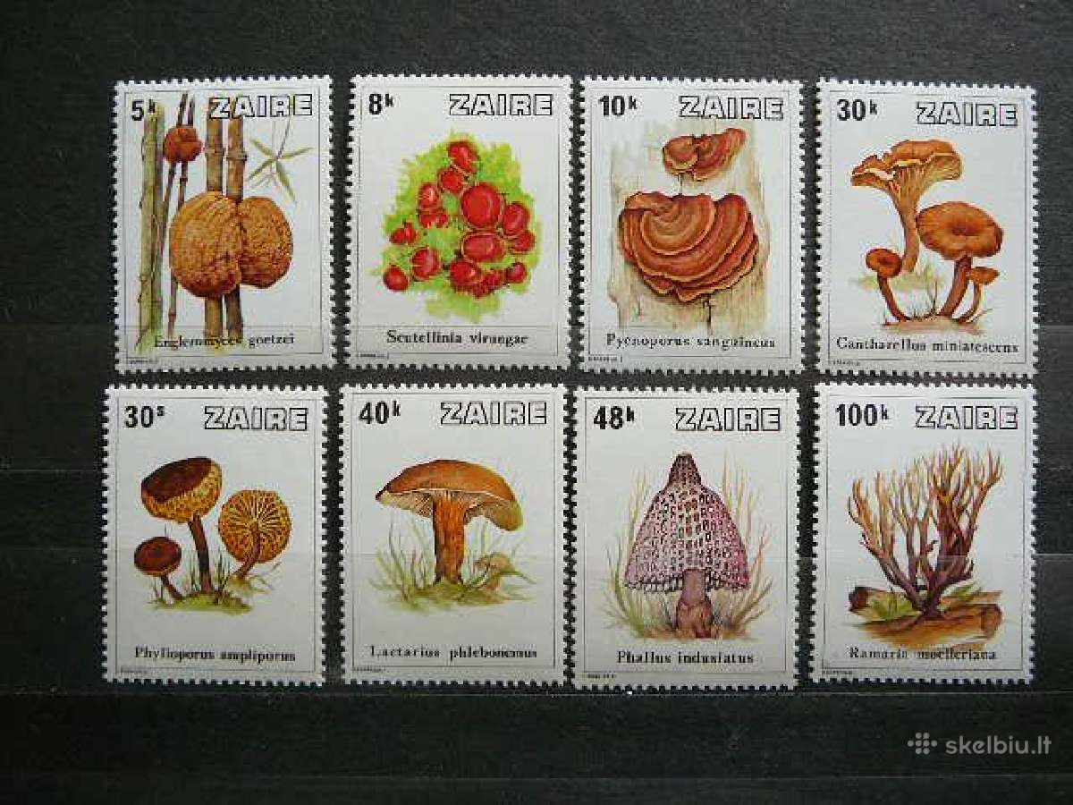 Grybai Zairas (Kongas) 1979 Mnh zr597