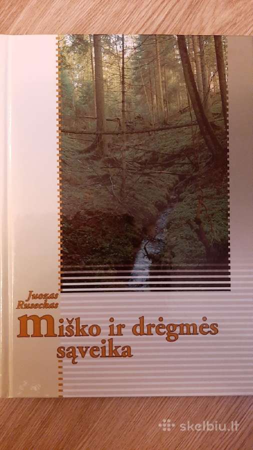 Miško ir drėgmės sąveika