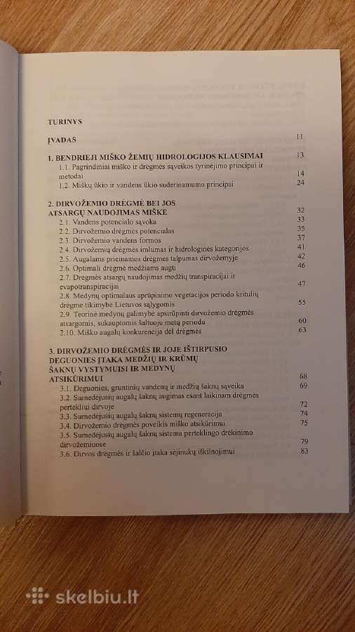 Miško ir drėgmės sąveika - nuotraukos Nr. 2