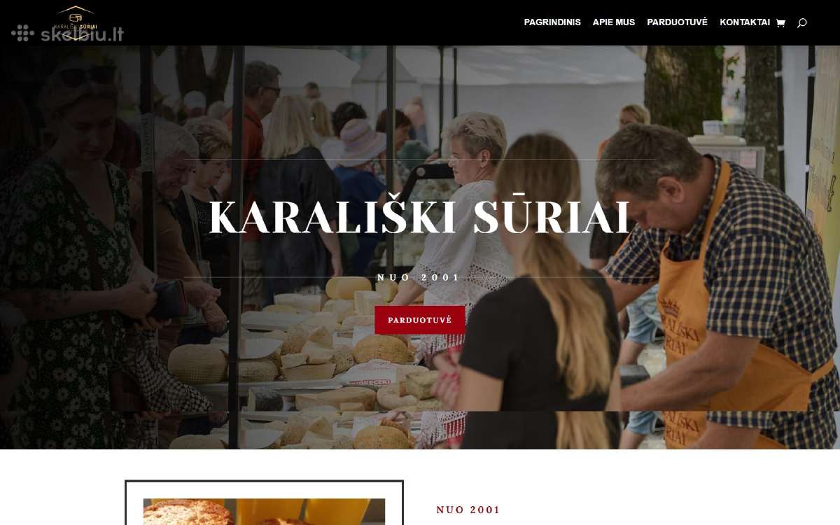 Svetainių kurimas / El. Parduotuvių kūrimas / Seo - nuotraukos Nr. 10