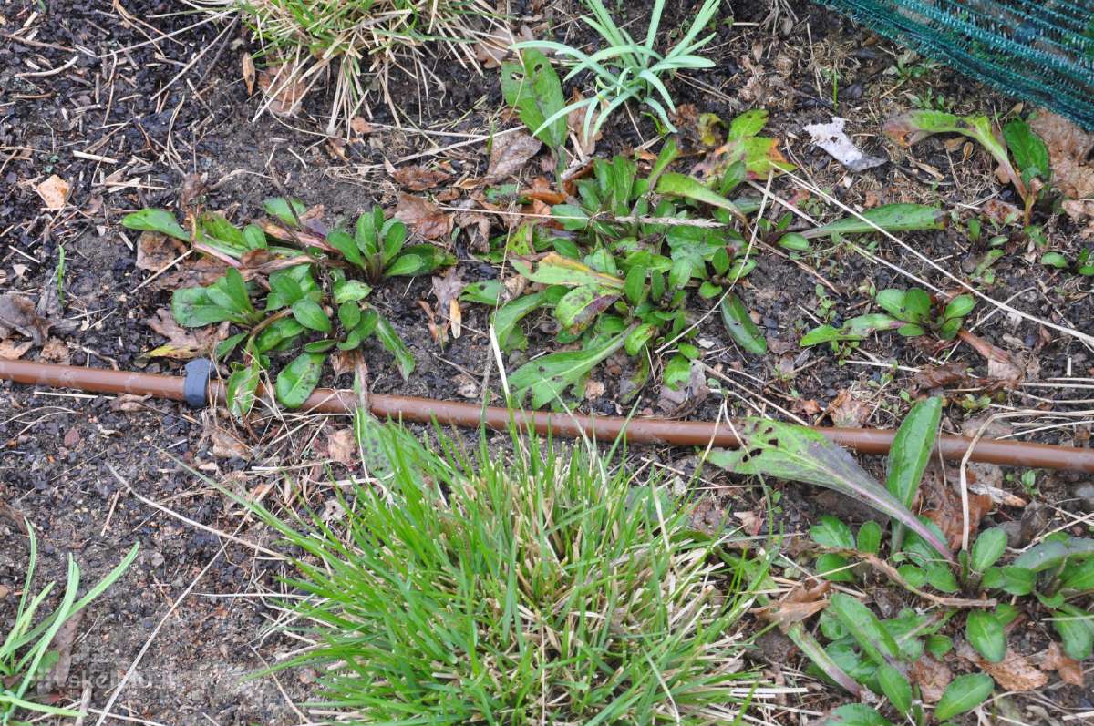 Laistymo sistemos- Rainbird įranga- 5 m. garantija - nuotraukos Nr. 17
