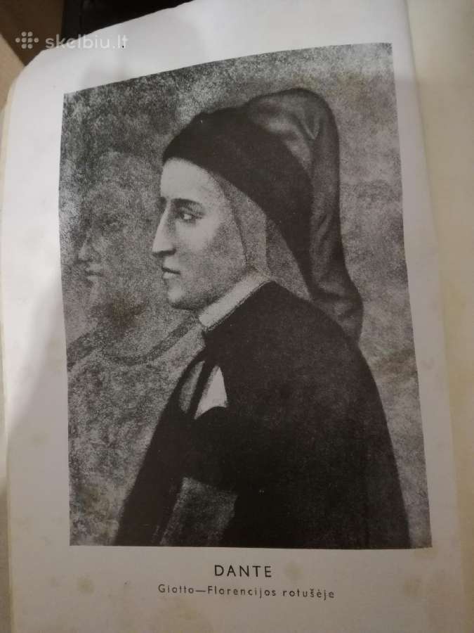 Homeras, iliada poema 1930m.,dante -antikos kng. - nuotraukos Nr. 9