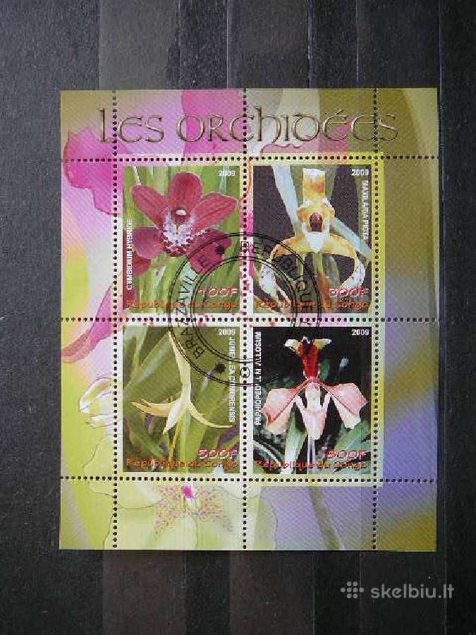 Orchidejos Geles Kongas 2009 antsp. s435