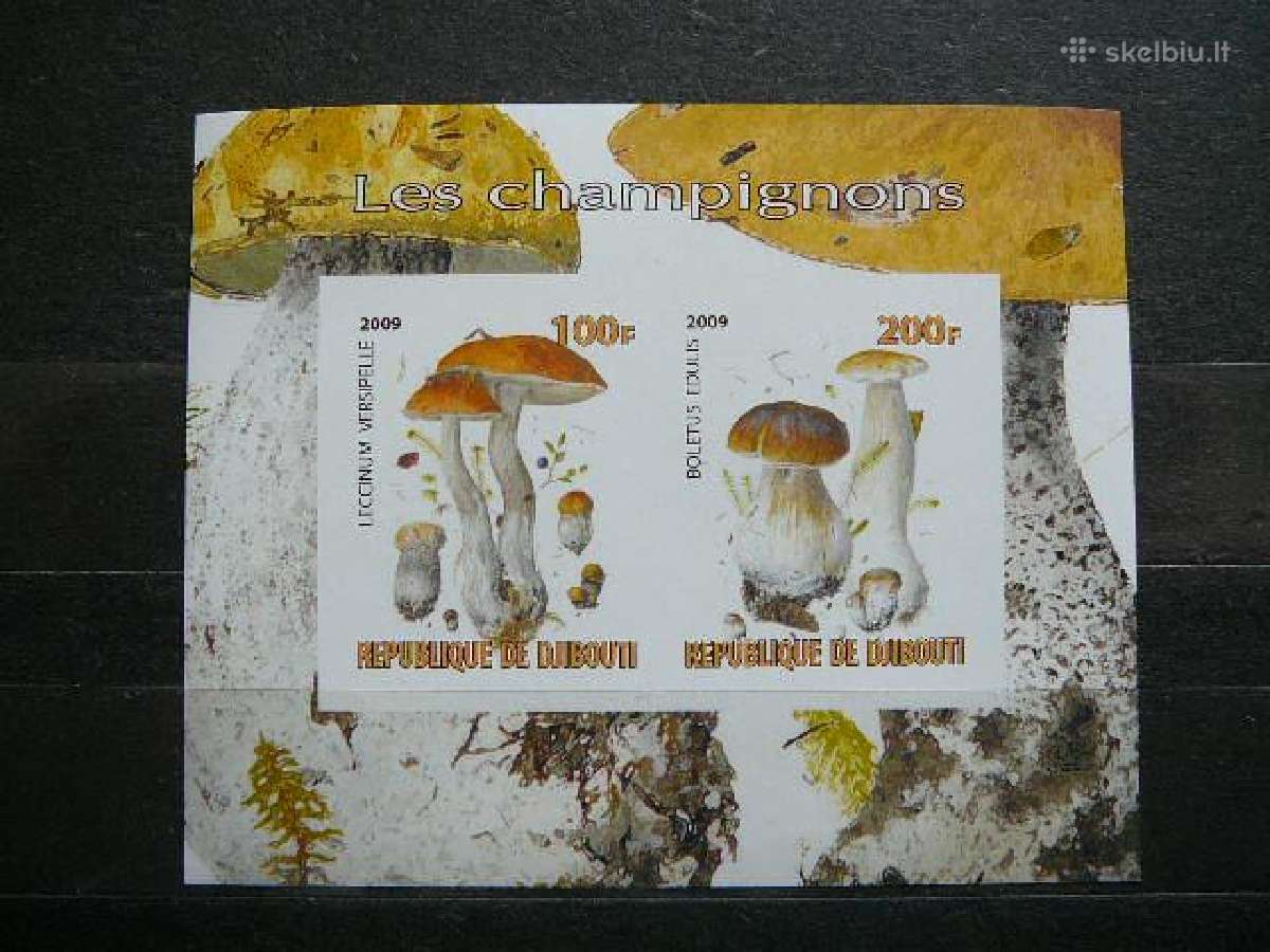 Grybai 2009 svarus Mnh g021b