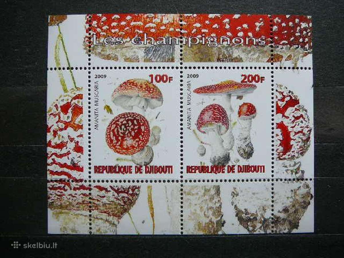 Grybai 2009 svarus Mnh g023a