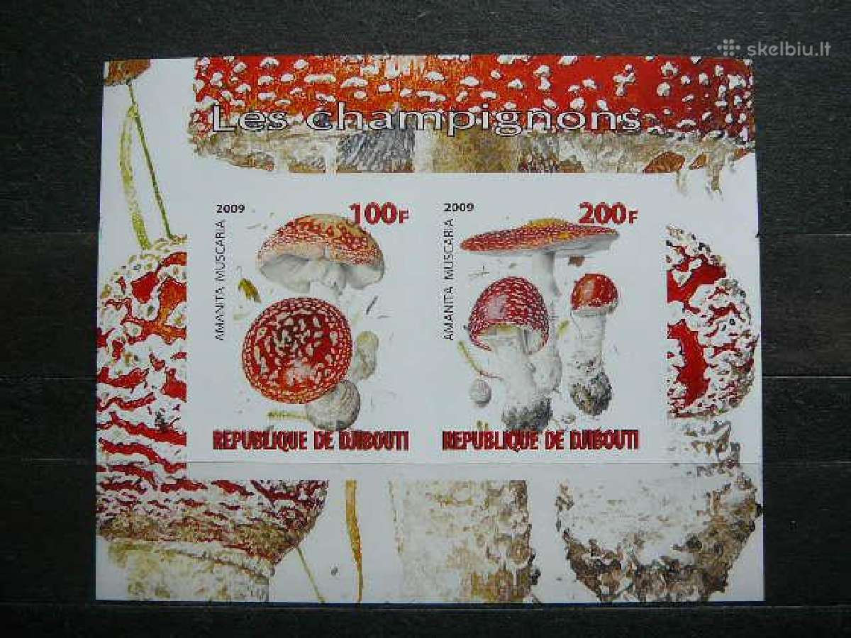 Grybai 2009 svarus Mnh g023b