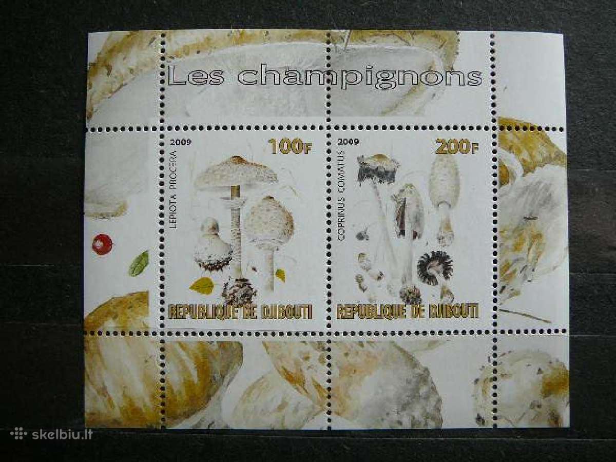 Grybai 2009 svarus Mnh g024a