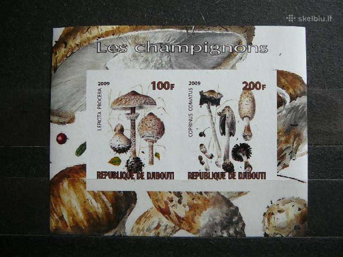 Grybai 2009 svarus Mnh g024b