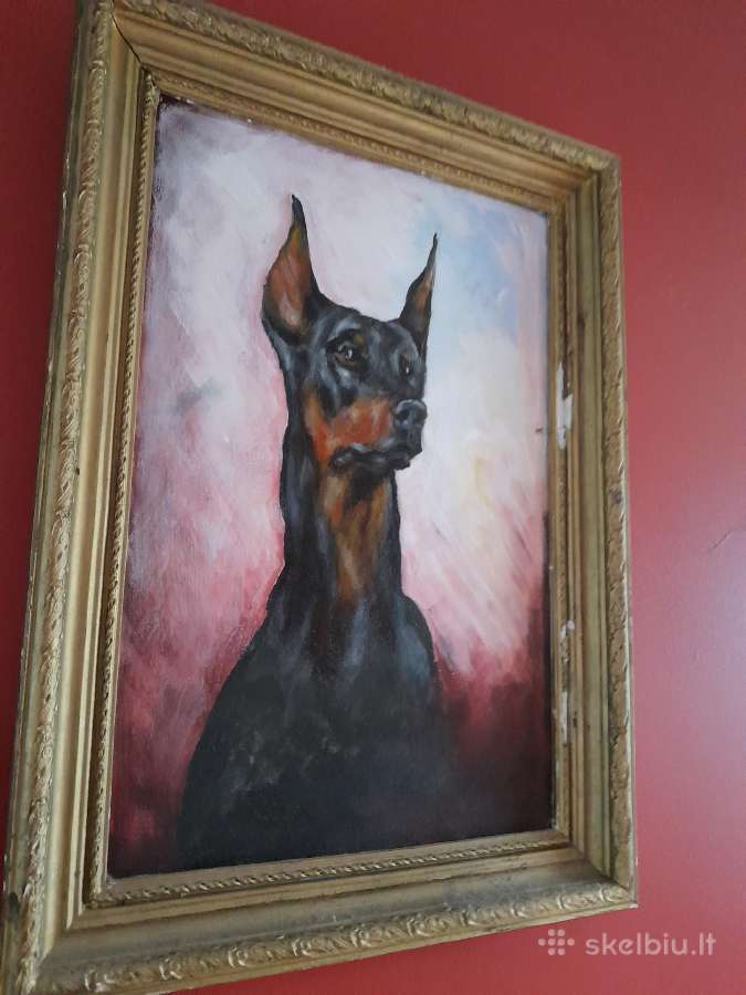 Paveikslas dobermano - nuotraukos Nr. 2