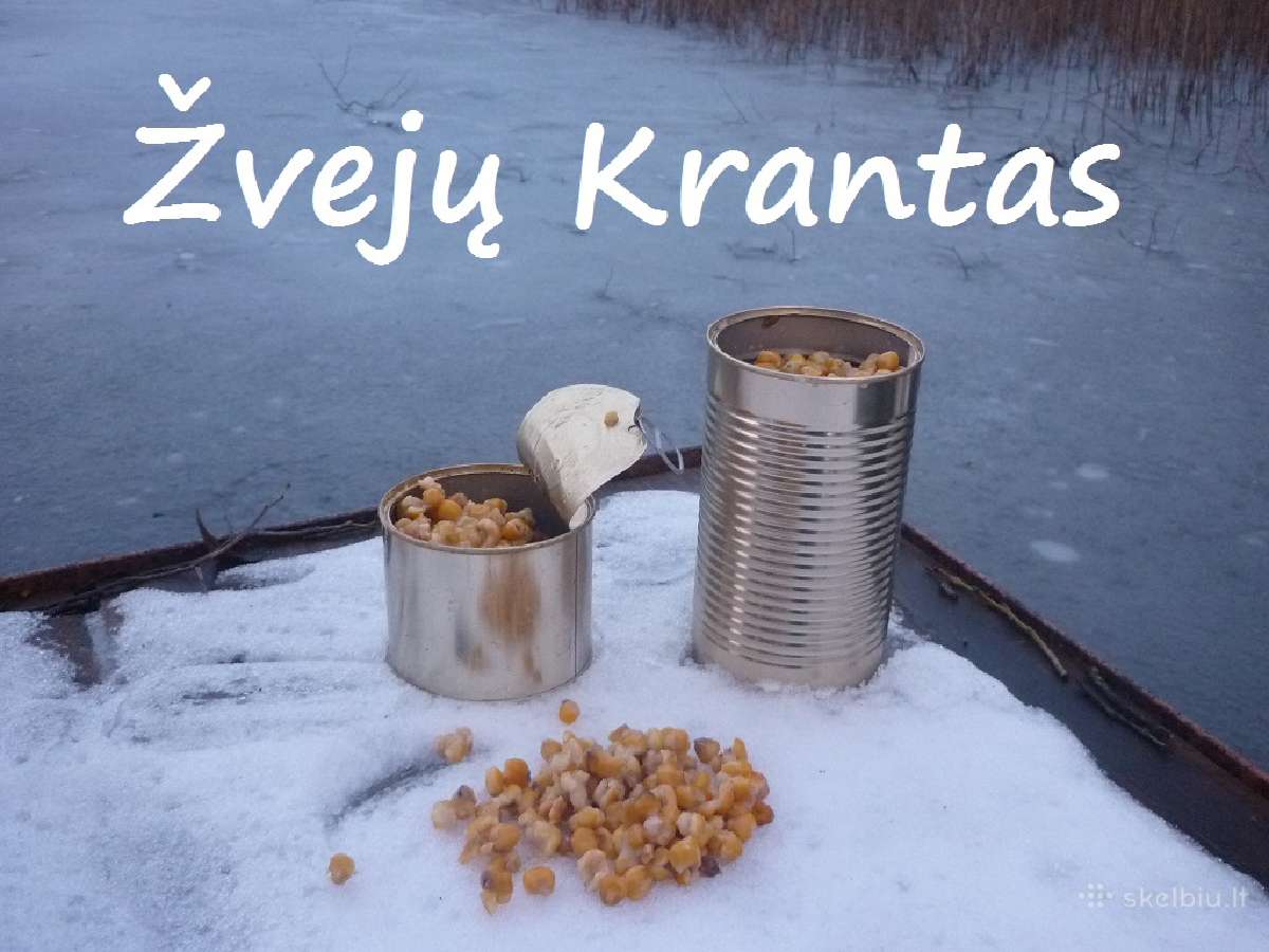 Šutinti kukurūzai