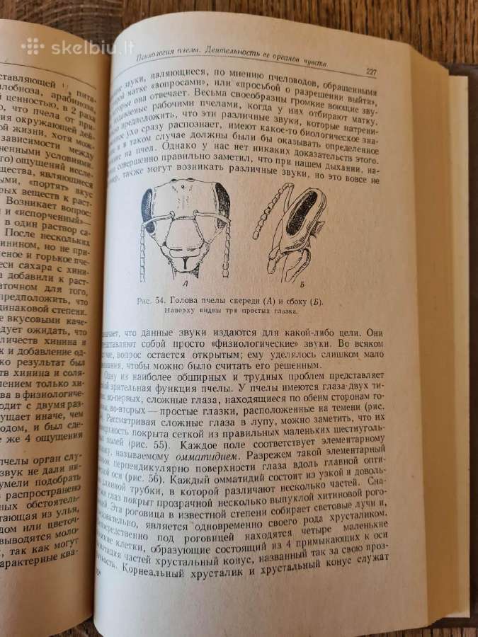 Gyvūnų psichologija, 1959 m. rusų k. - nuotraukos Nr. 5