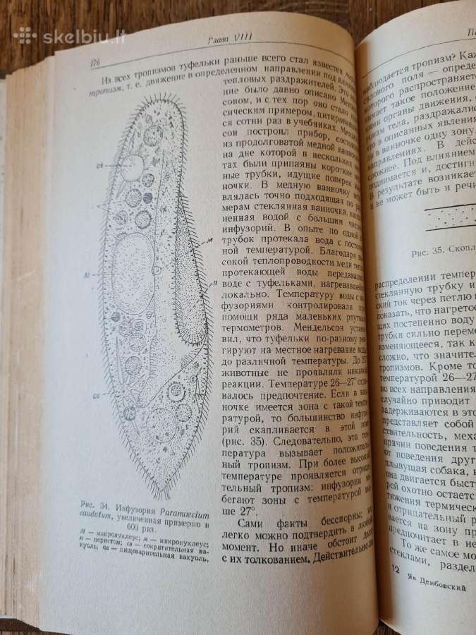 Gyvūnų psichologija, 1959 m. rusų k. - nuotraukos Nr. 9