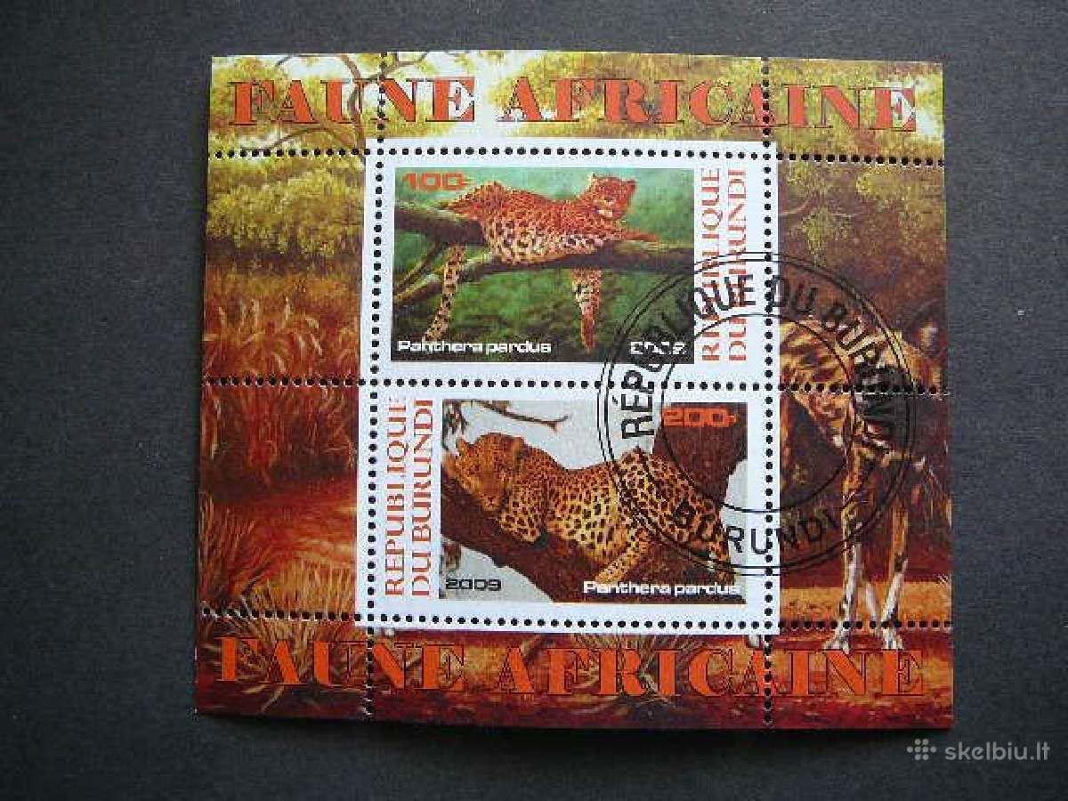 Panteros Kates laukines 2009 antsp. g048