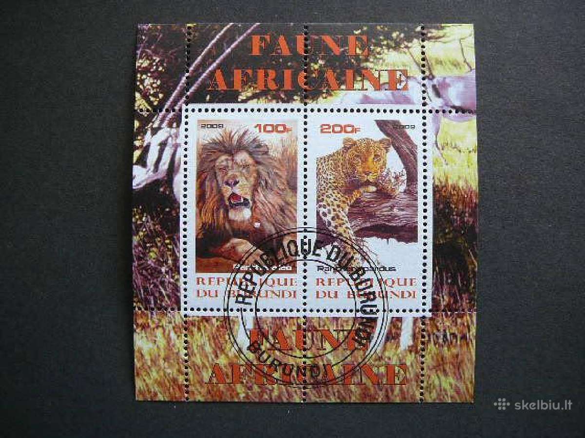 Liutas Pantera Kates laukines 2009 antsp. g049