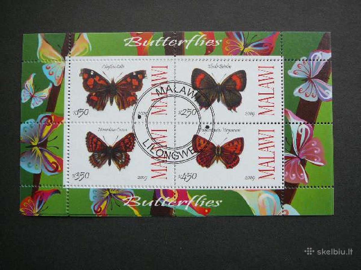 Drugeliai 2009 antsp. g053