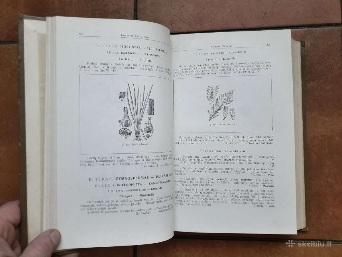 P. Snarskis "Vadovas Ltsr augalams pažinti" 1954 m - nuotraukos Nr. 4