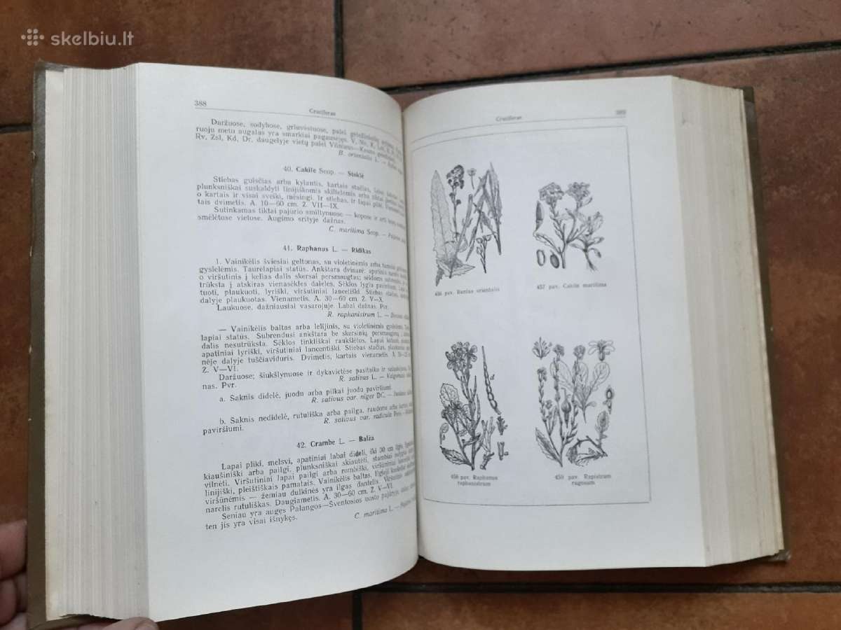 P. Snarskis "Vadovas Ltsr augalams pažinti" 1954 m - nuotraukos Nr. 5
