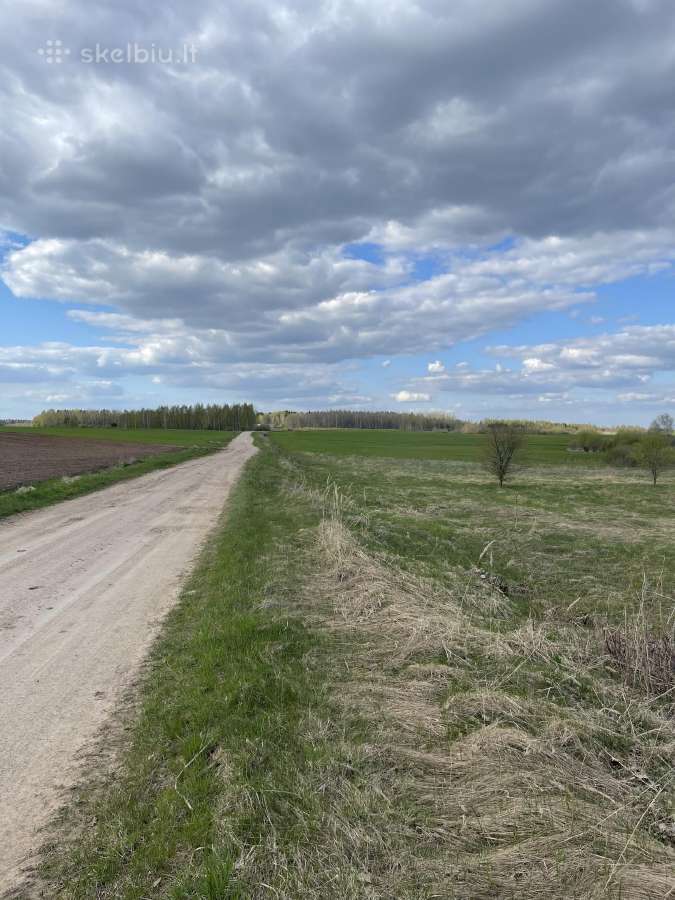 Parduodamas žemės sklypas Širvintų raj. - nuotraukos Nr. 3