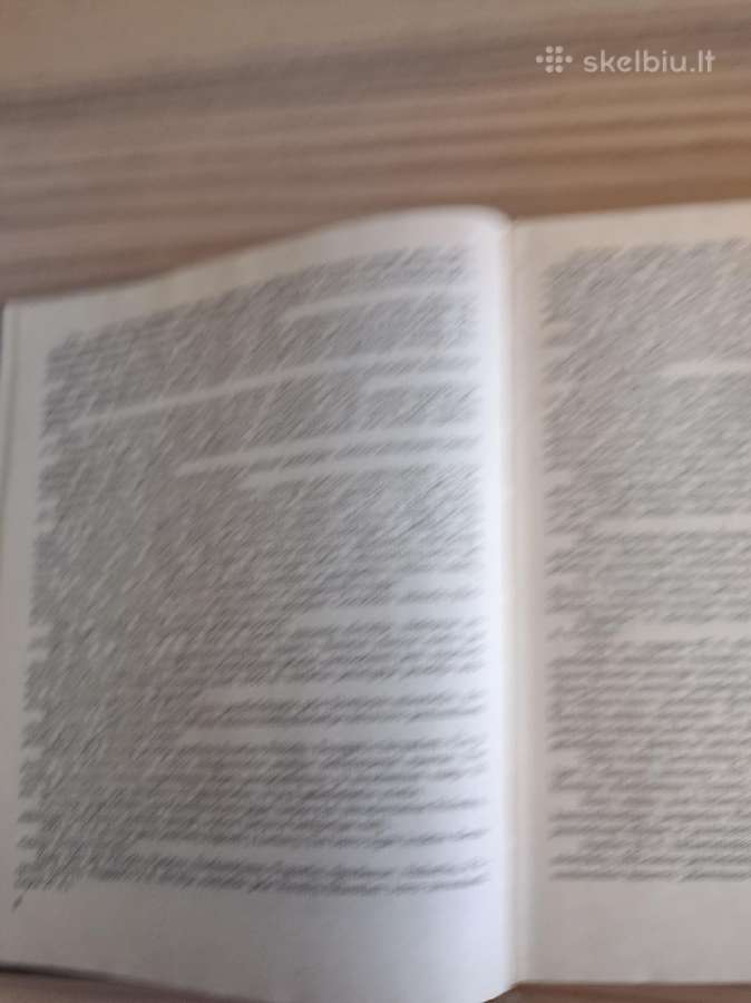 16 lietuviškosios šaulių divizijos atmintis - nuotraukos Nr. 7