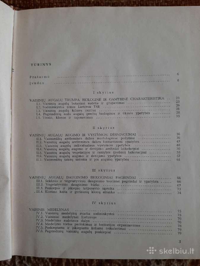 Sodininkystė - nuotraukos Nr. 2
