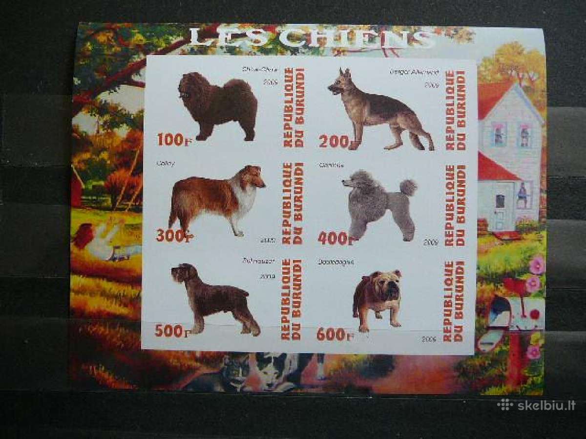Sunys Burundis 2009 svarus g083b