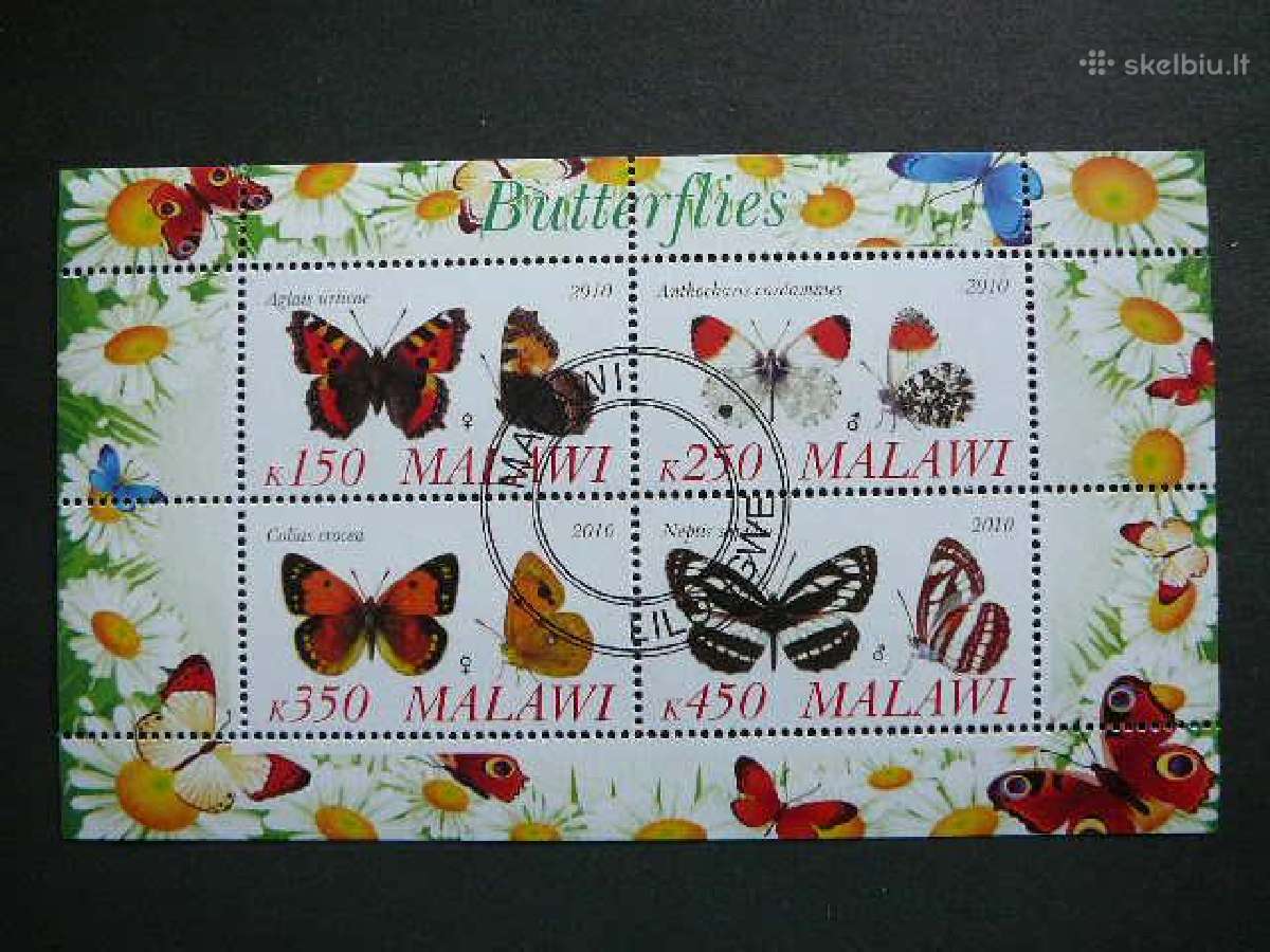 Drugeliai Malavis 2010 antsp. g120