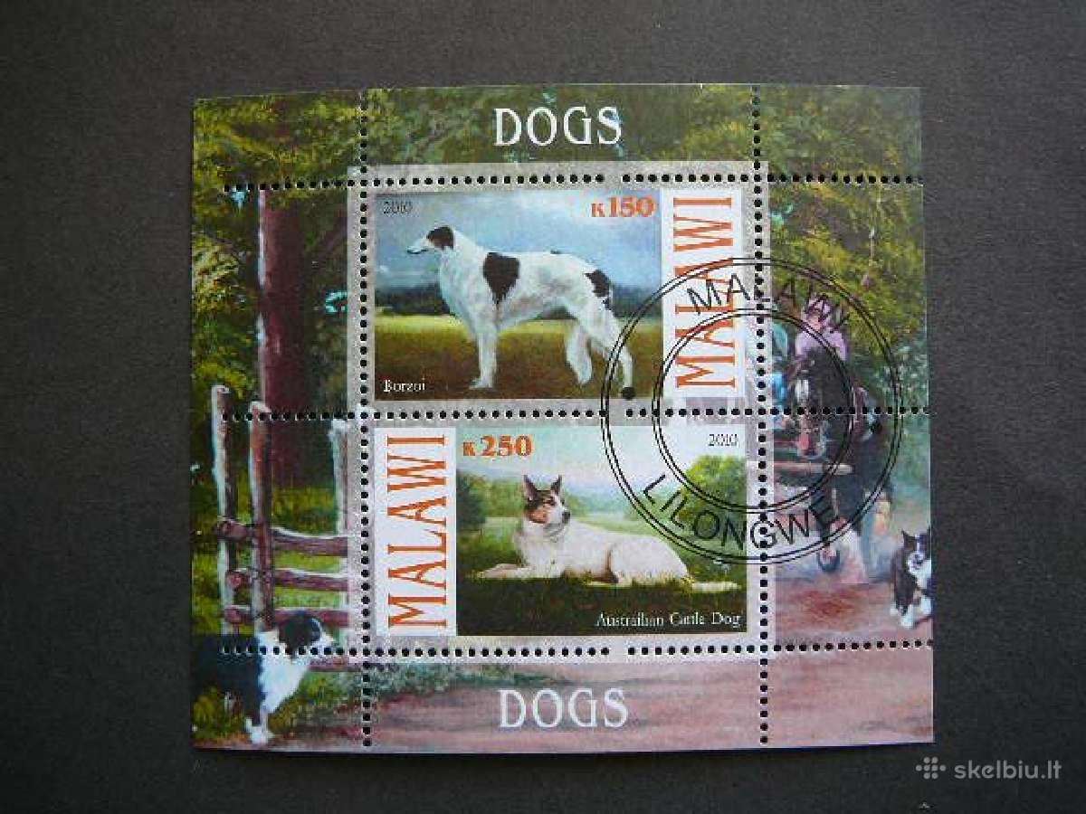 Sunys Malavis 2010 antsp. g131