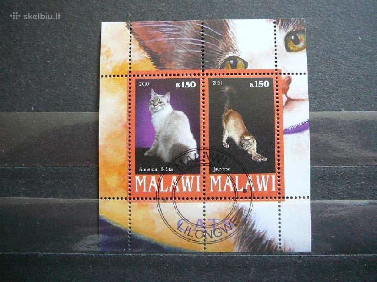 Kates Malavis 2010 antsp. g136