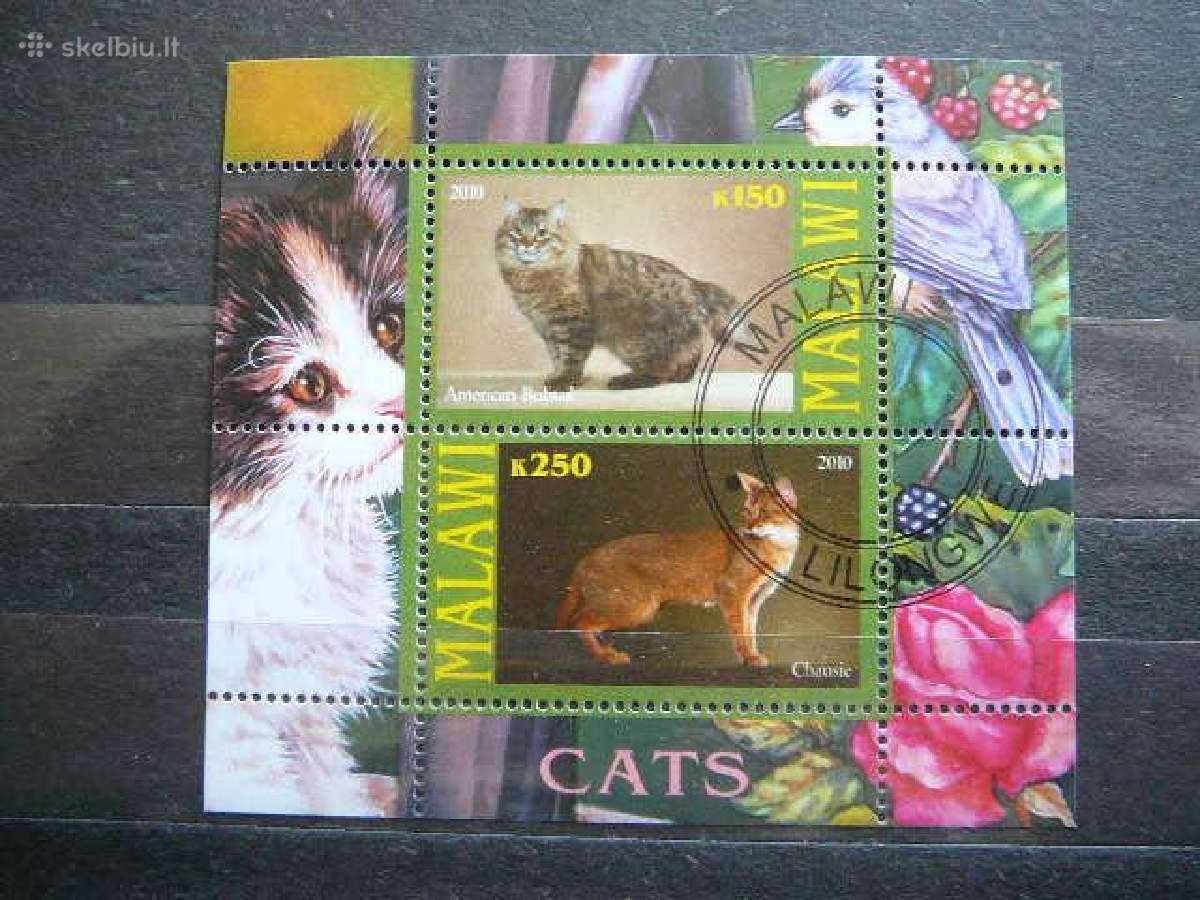 Kates Malavis 2010 antsp. g137