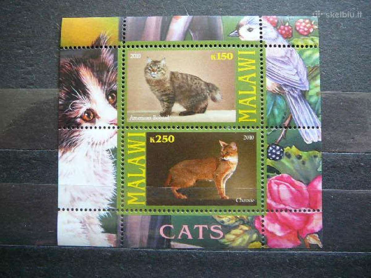 Kates Malavis 2010 svarus g137a