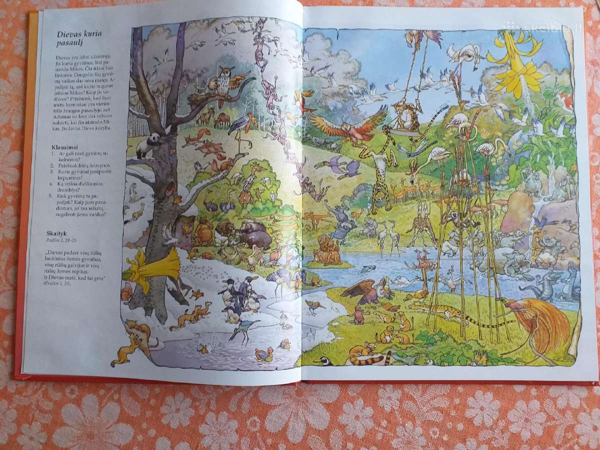 Ieškok ir surask Biblijoje - nuotraukos Nr. 2